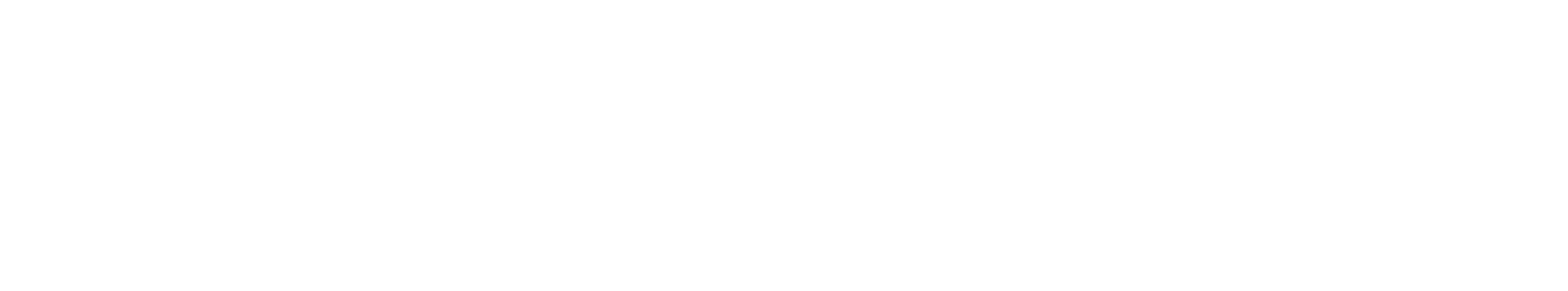 logo-white
